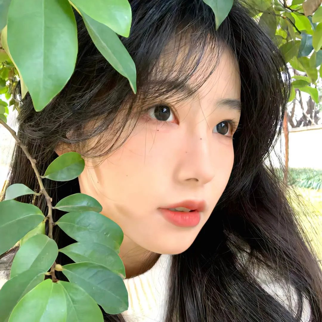 罪恶黑名单第六季